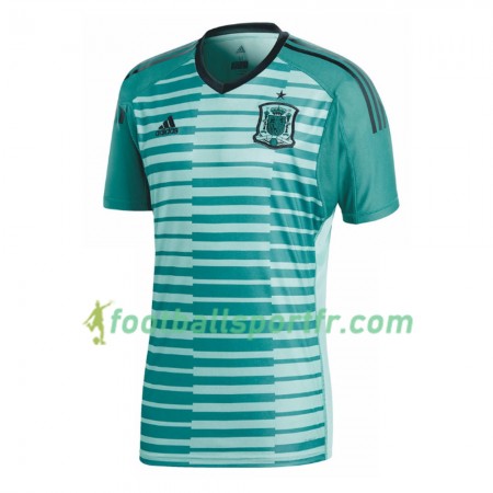 Tenue Espagne Gardien Domicile Coupe du monde 2018 Maillot de Foot